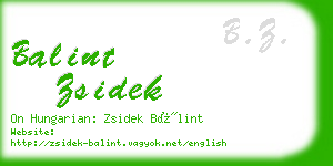 balint zsidek business card